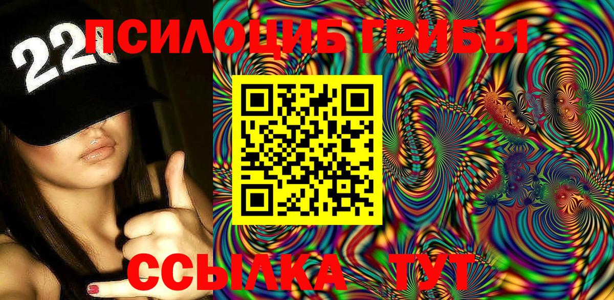 Шуя  Галлюциногенные грибы MAGIC MUSHROOMS  Псилоцибиновые грибы MAGIC MUSHROOMS  Вход с VPN 